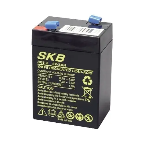 Batteria al piombo ricaricabile 6V 5AH SKB