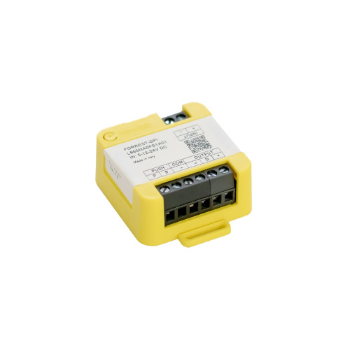 FORREST-SPI - Controller smart per strisce LED digitali monocolore/CCT/RGB/RGBW